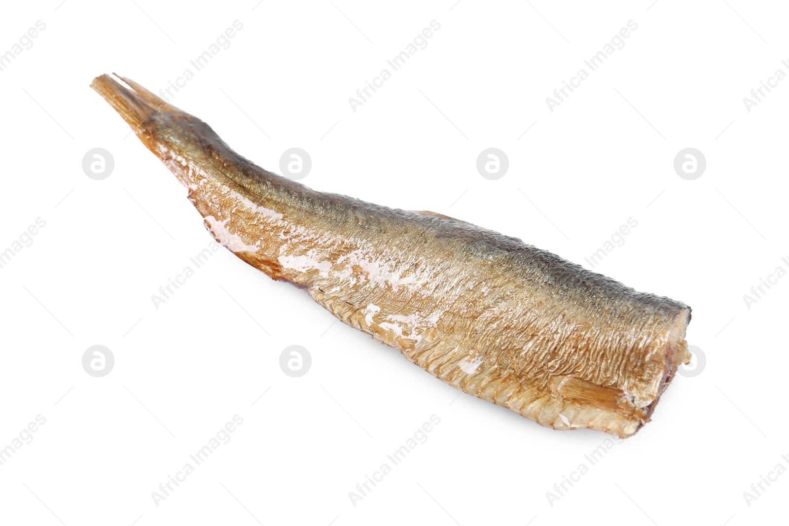 Photo of One tasty canned sprat isolated on white