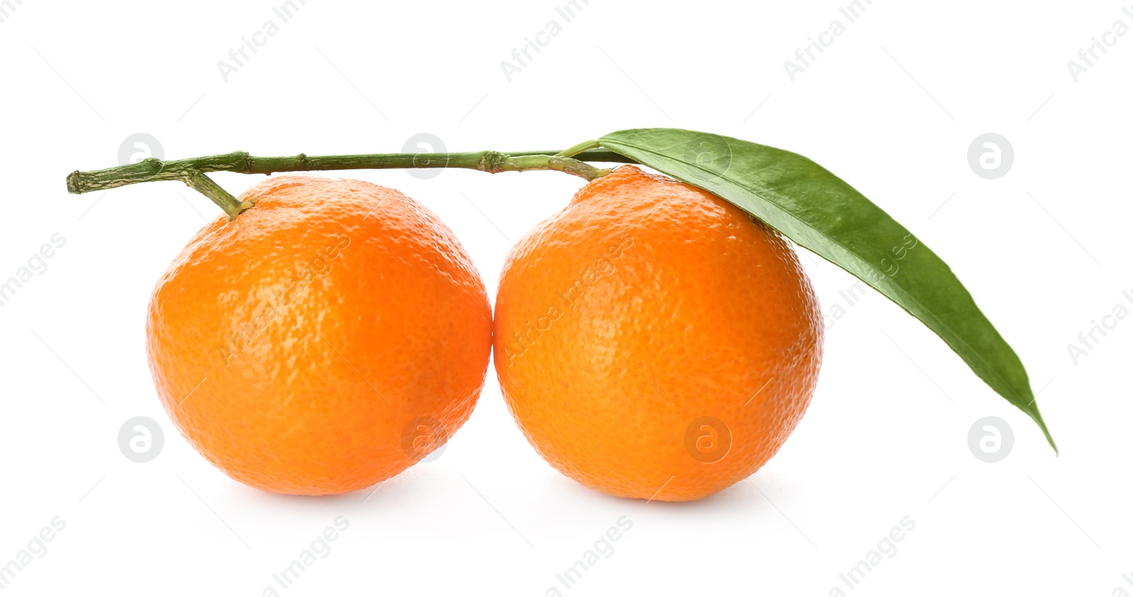 Photo of Whole fresh tangerines with green leaf on white background