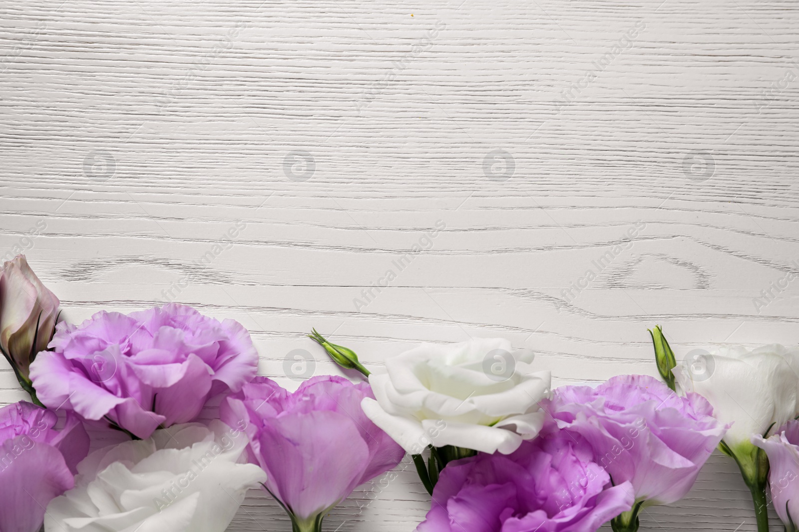 Photo of Flat lay composition with beautiful Eustoma flowers on light wooden background