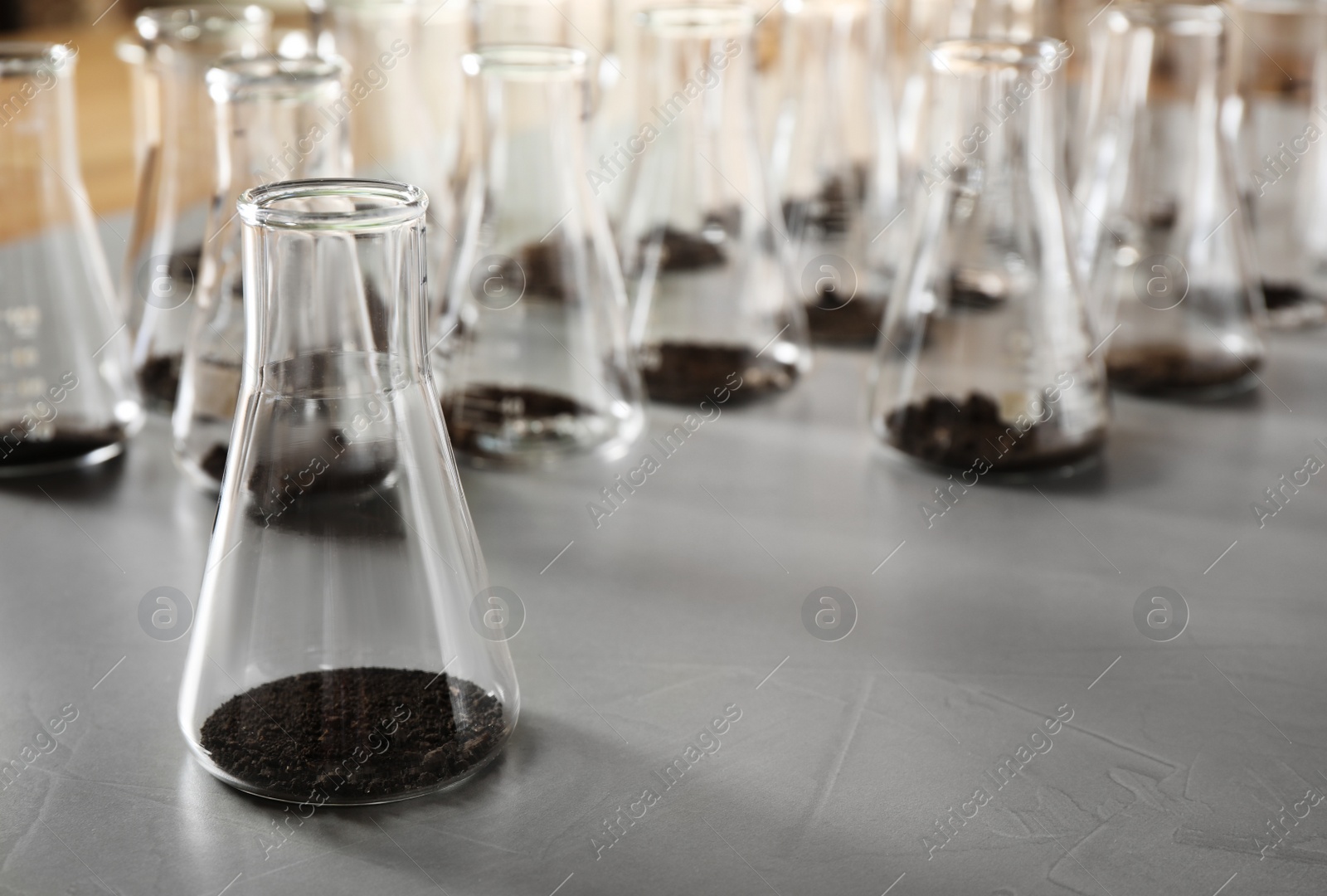 Photo of Glassware with soil samples on grey table. Laboratory research