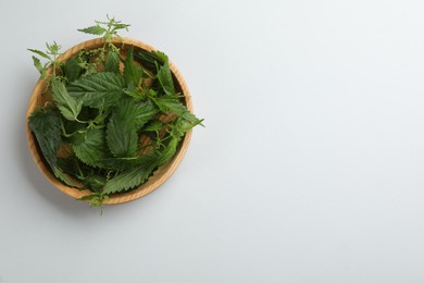 Photo of Fresh stinging nettle leaves in wooden bowl on white background, top view