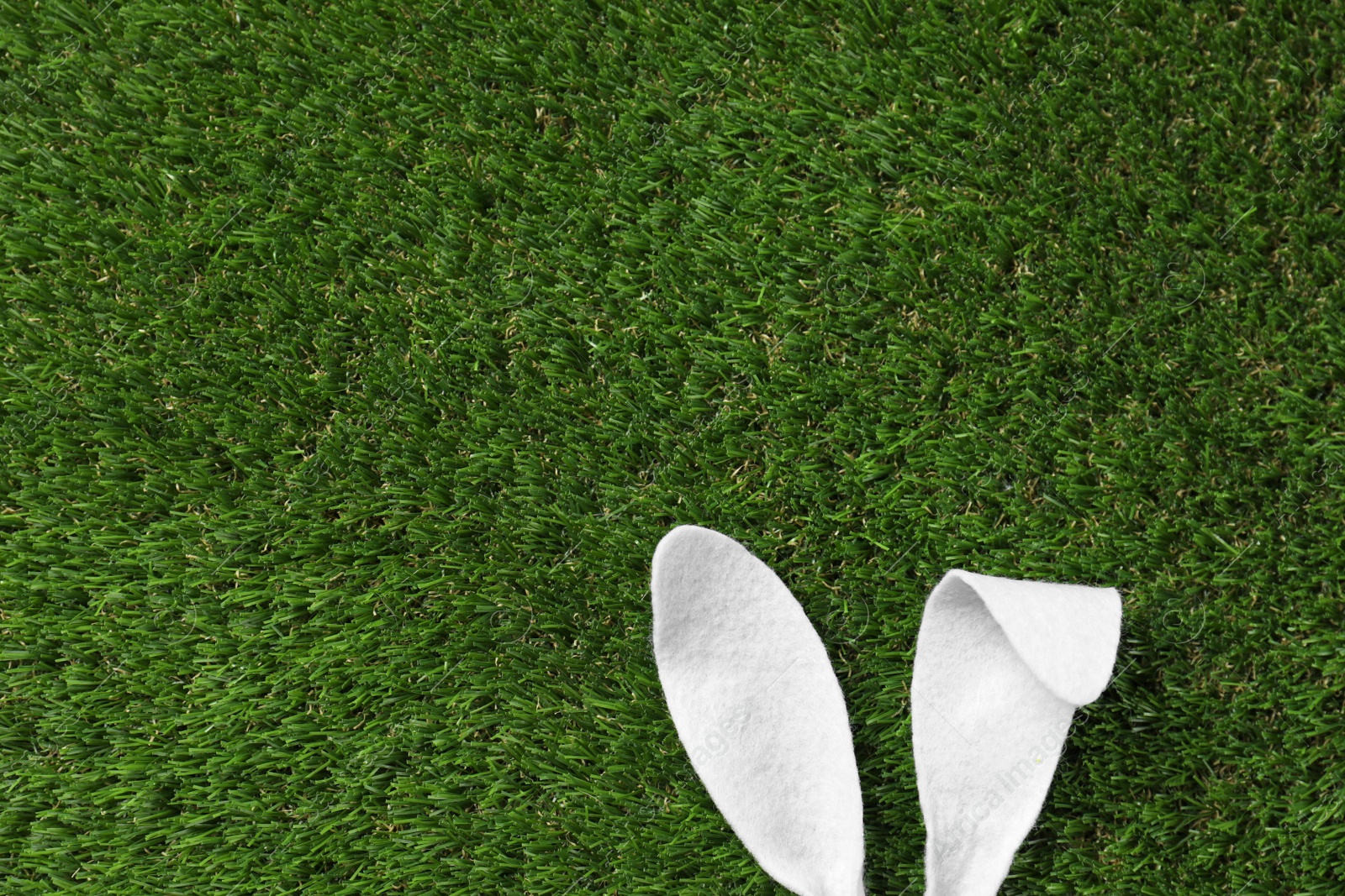 Photo of Funny Easter bunny ears on green grass, top view with space for text