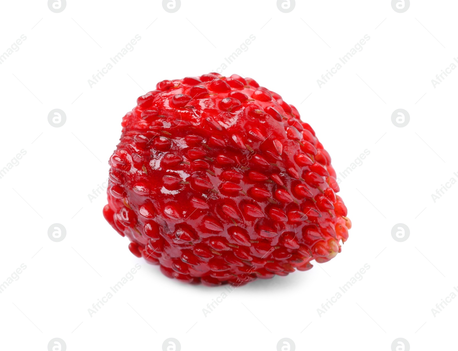 Photo of One ripe wild strawberry isolated on white