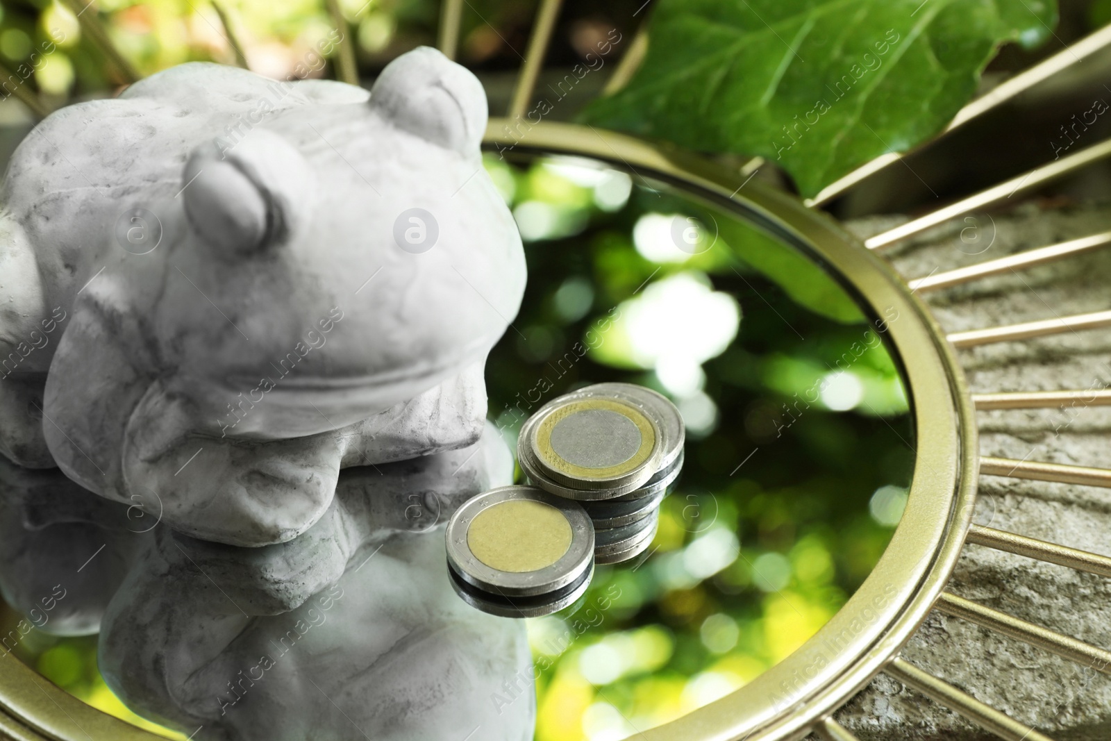 Photo of Stone frog figure with coins on mirror outdoors, closeup
