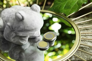 Stone frog figure with coins on mirror outdoors, closeup