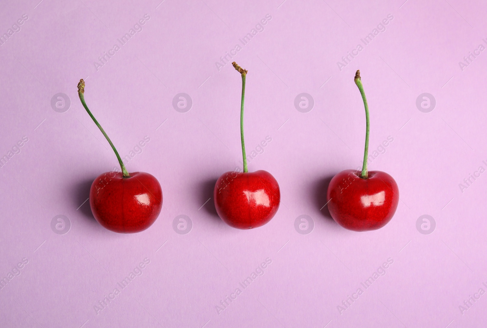 Photo of Juicy sweet cherries on lilac background, top view