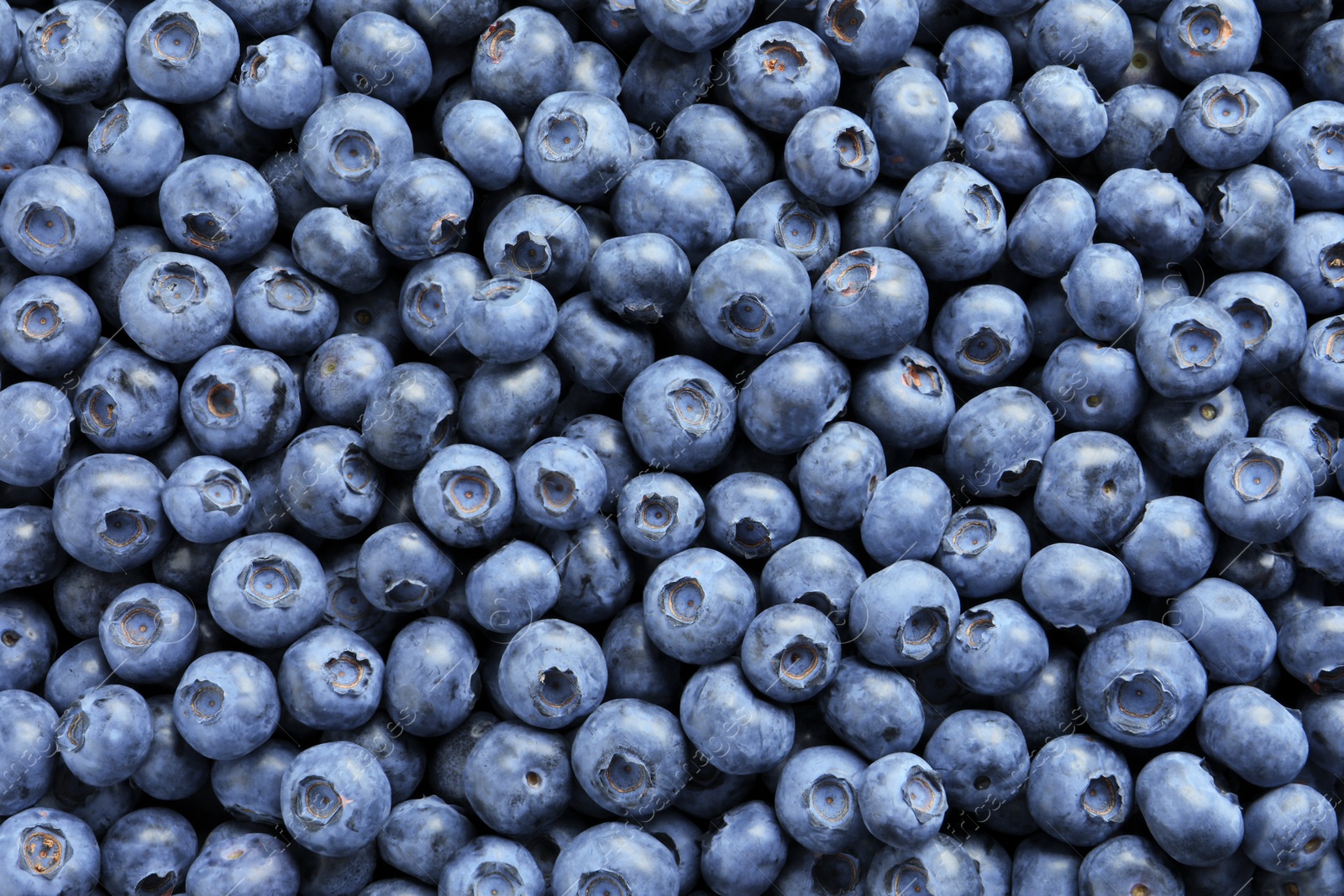 Photo of Tasty fresh blueberries as background, top view