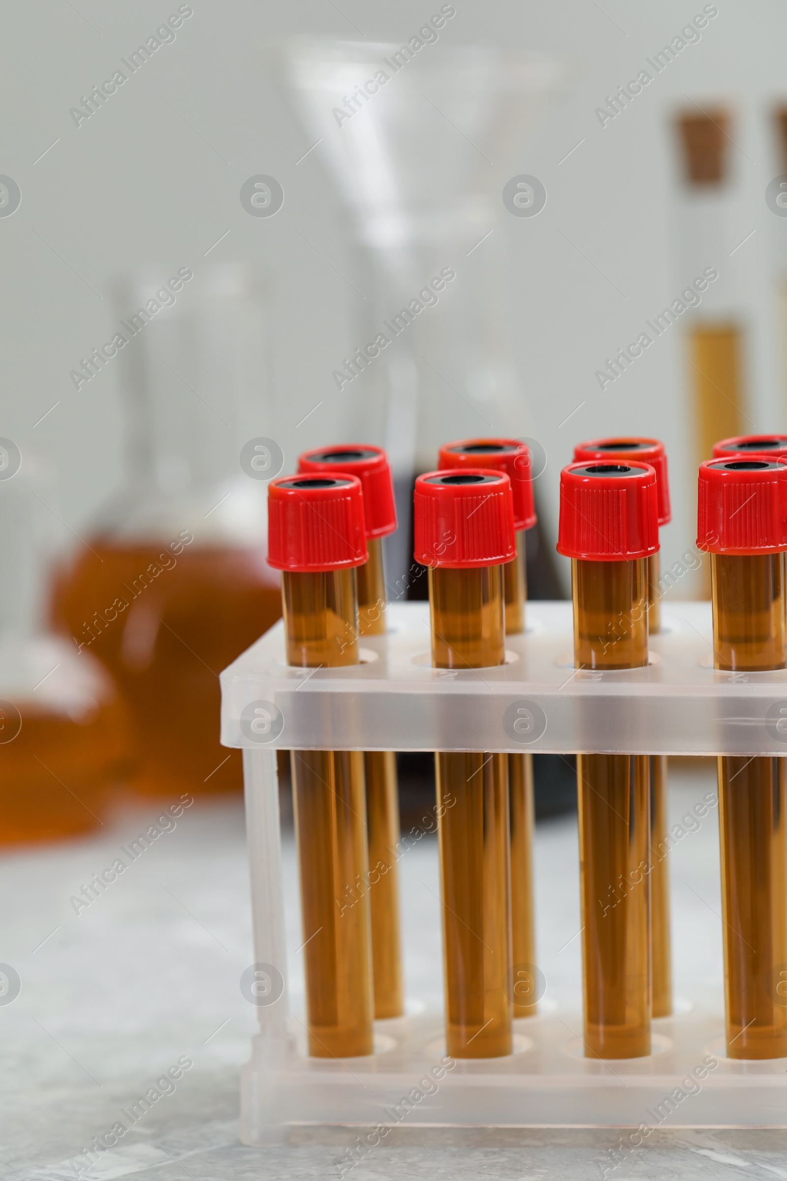 Photo of Test tubes with brown liquid in stand on table
