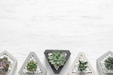 Beautiful succulent plants in stylish flowerpots on white wooden background, flat lay with space for text. Home decor