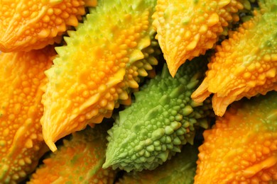 Many fresh bitter melons as background, closeup