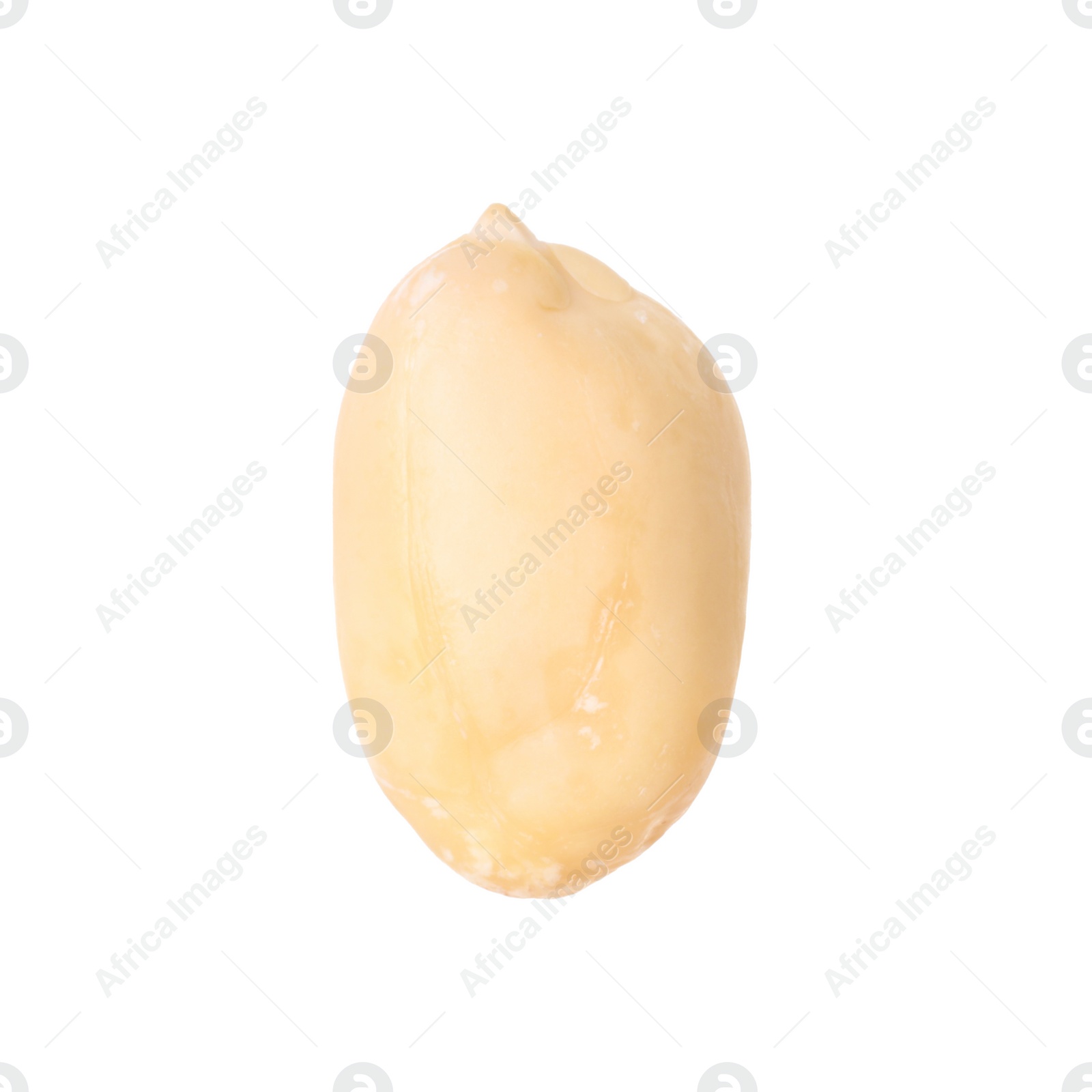 Photo of One fresh peeled peanut isolated on white