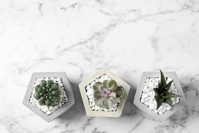 Photo of Beautiful succulent plants in stylish flowerpots on marble background, flat lay with space for text. Home decor