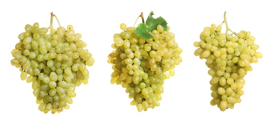 Image of Set of fresh grapes on white background. Banner design