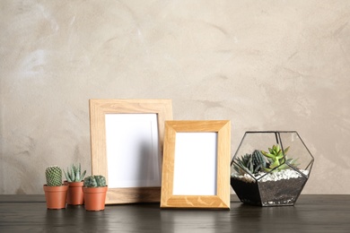 Succulent plants and photo frames on table near color wall, space for design. Home decor