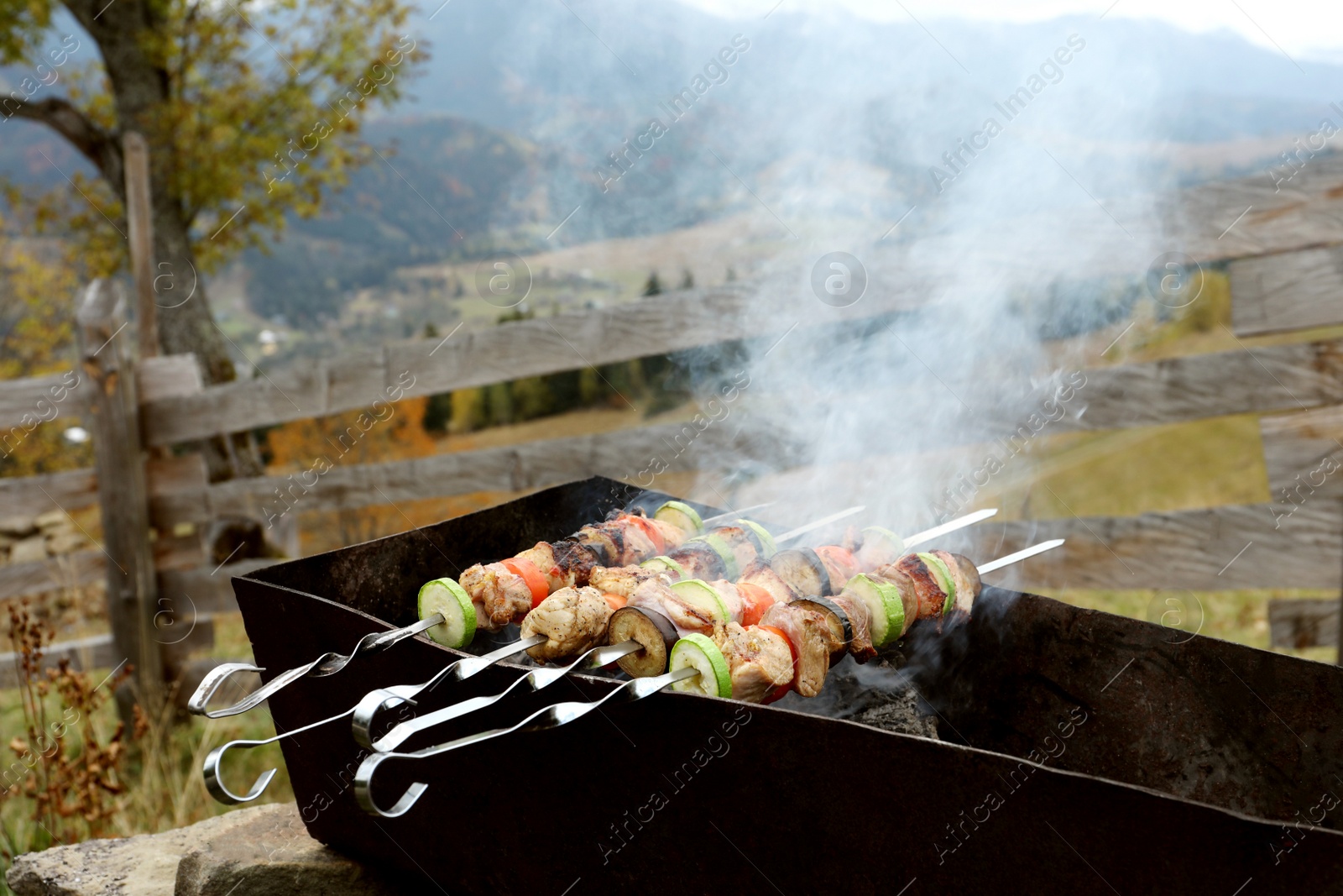 Photo of Cooking meat and vegetables on brazier outdoors