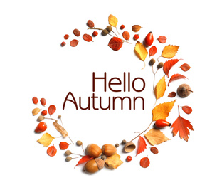 Hello Autumn card. Beautiful composition with autumn leaves and text on white background, top view