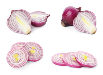 Image of Set of red cut and whole onion on white background