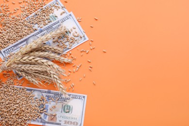 Photo of Import and export concept. Wheat grains with banknotes on orange background, flat lay. Space for text