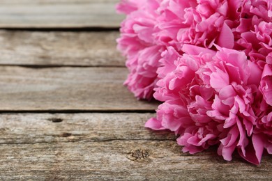 Beautiful pink peonies on wooden table, closeup. Space for text