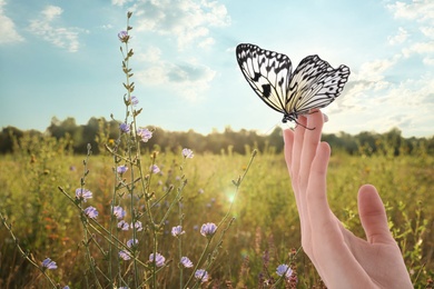 Woman holding beautiful rice paper butterfly in field, closeup