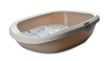 Beige cat litter tray with filler isolated on white