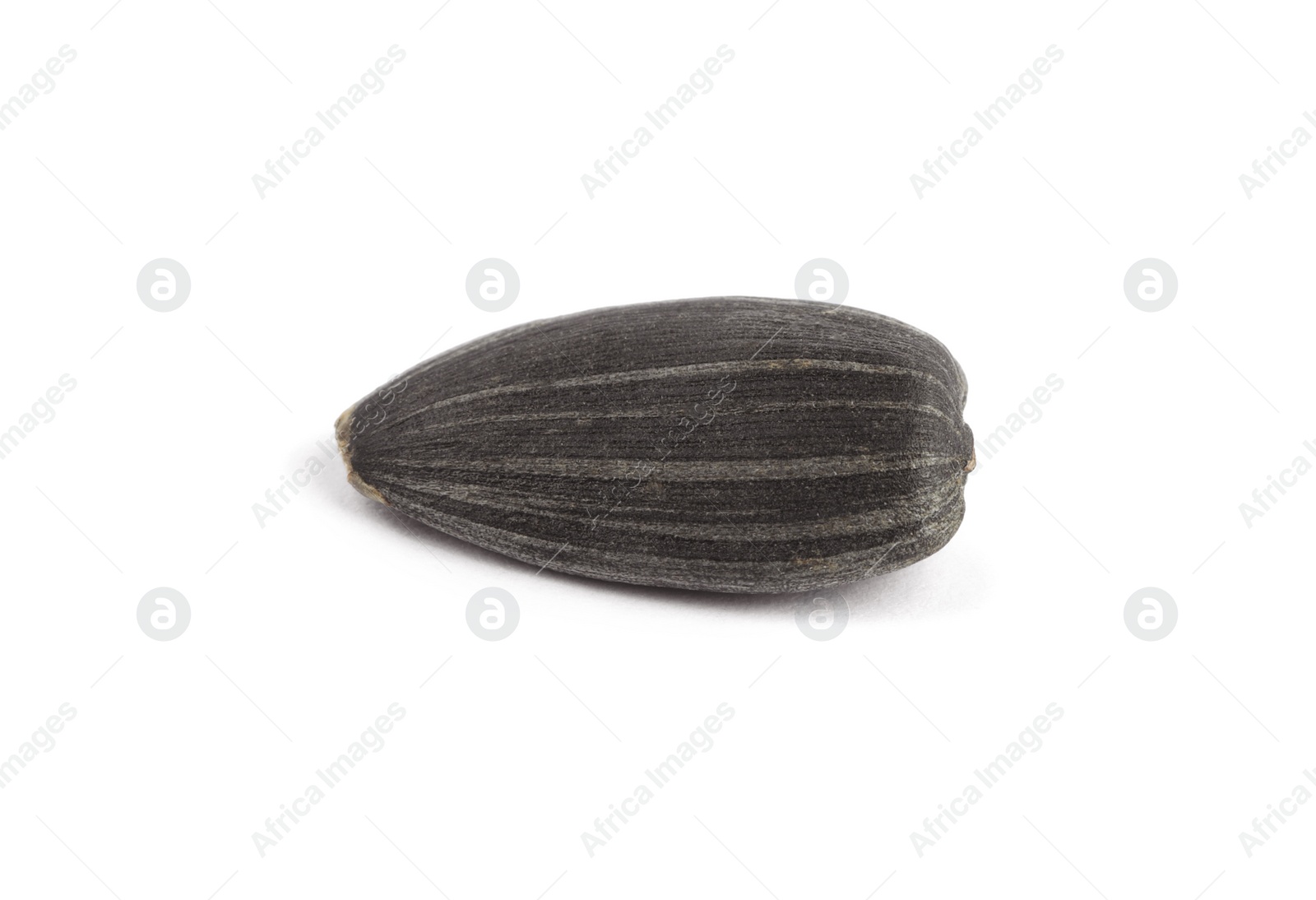 Photo of Raw organic sunflower seed isolated on white