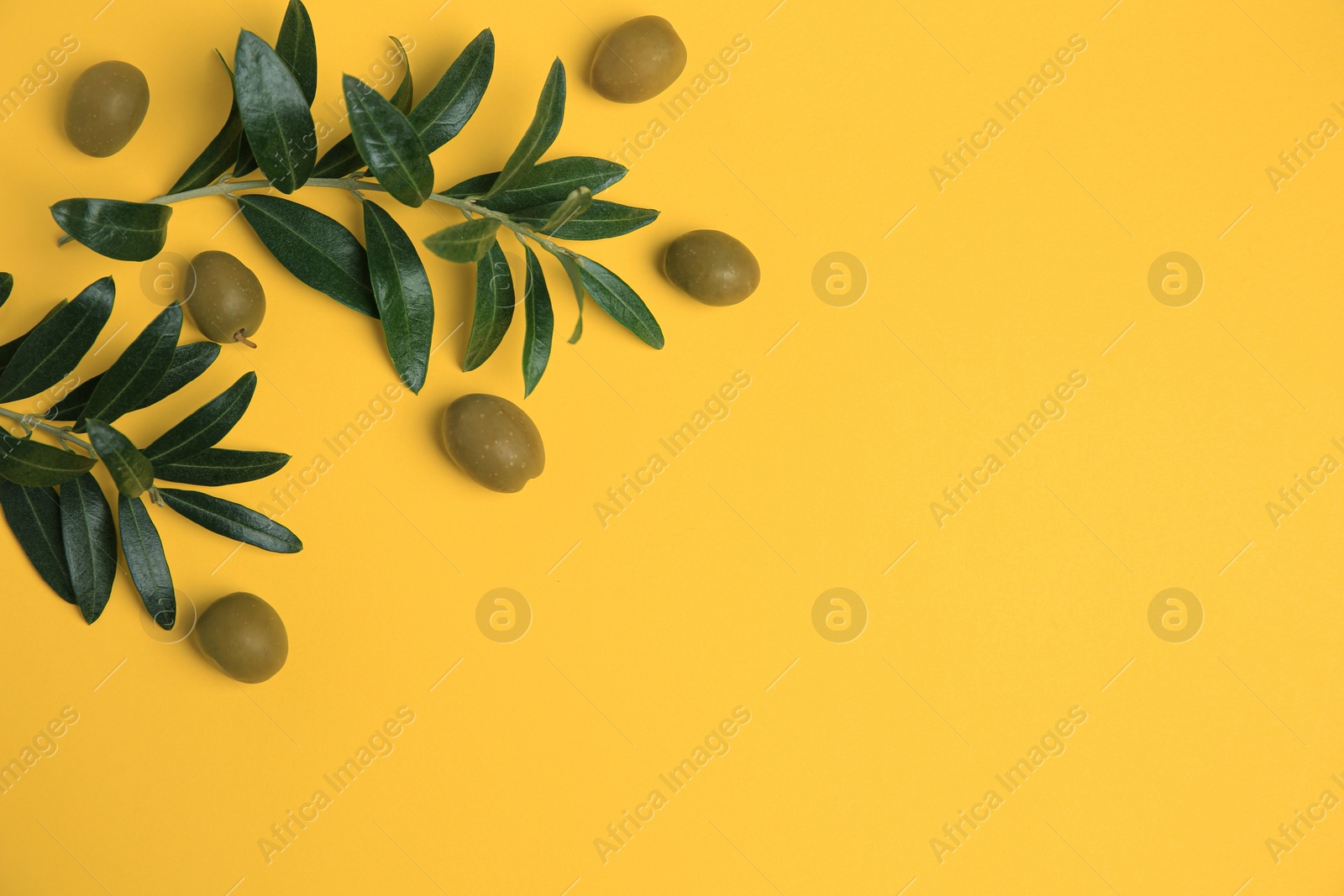 Photo of Fresh olives and green leaves on yellow background, flat lay. Space for text