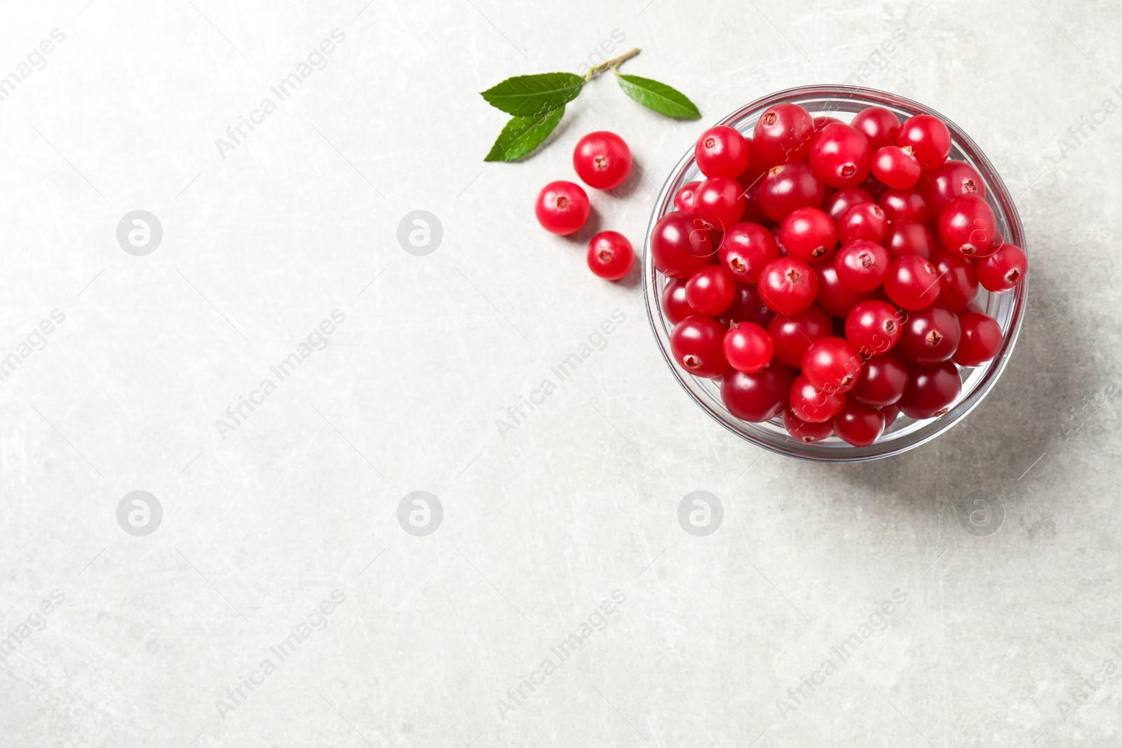 Photo of Fresh cranberry on light table, flat lay. Space for text