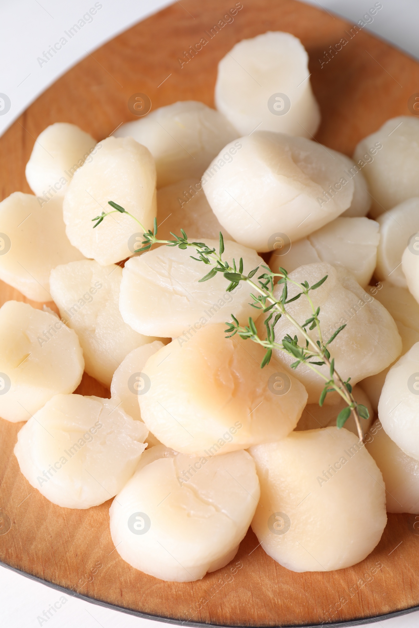 Photo of Fresh raw scallops and thyme on white table, closeup