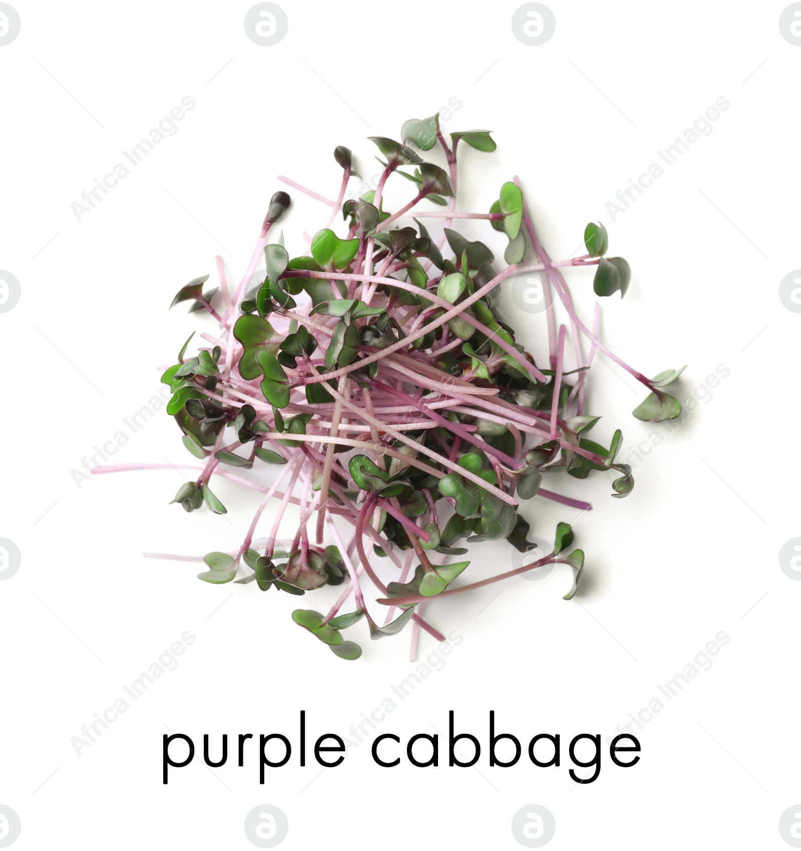 Image of Heap of fresh organic microgreen on white background, top view