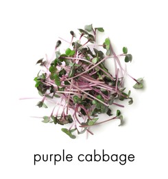 Image of Heap of fresh organic microgreen on white background, top view