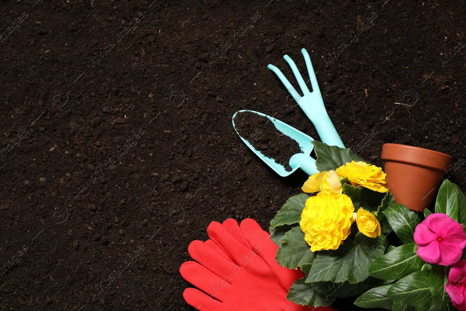 Photo of Flat lay composition with gardening tools and flowers on soil, space for text