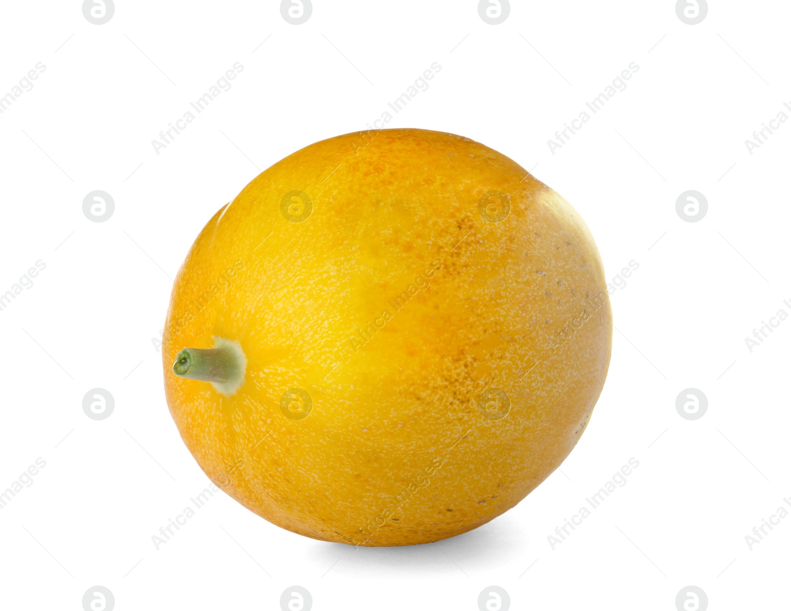 Photo of Whole tasty ripe melon on white background