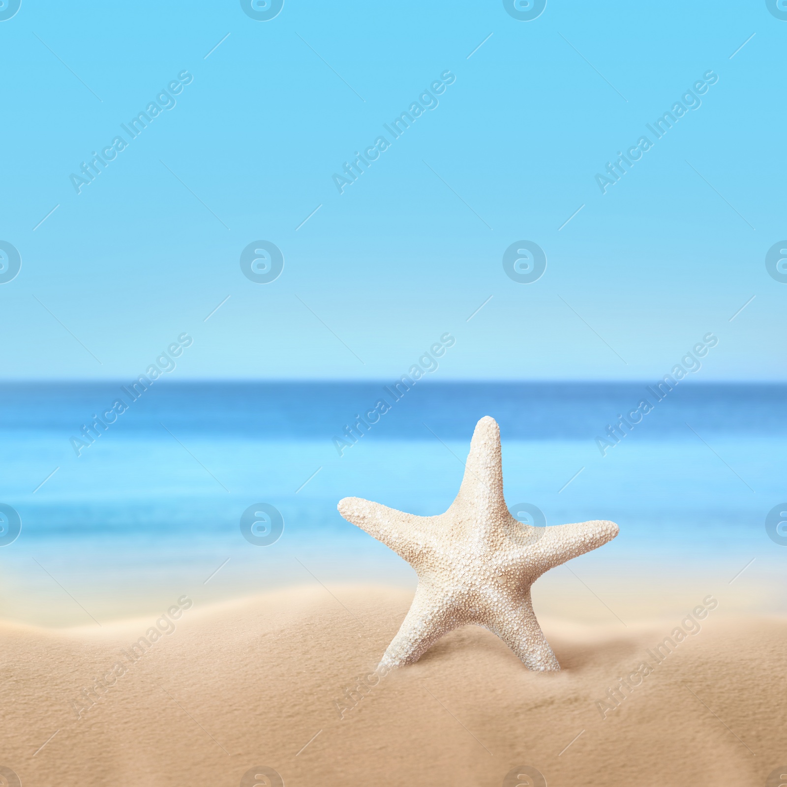 Image of Beautiful sea star on sandy beach near ocean 