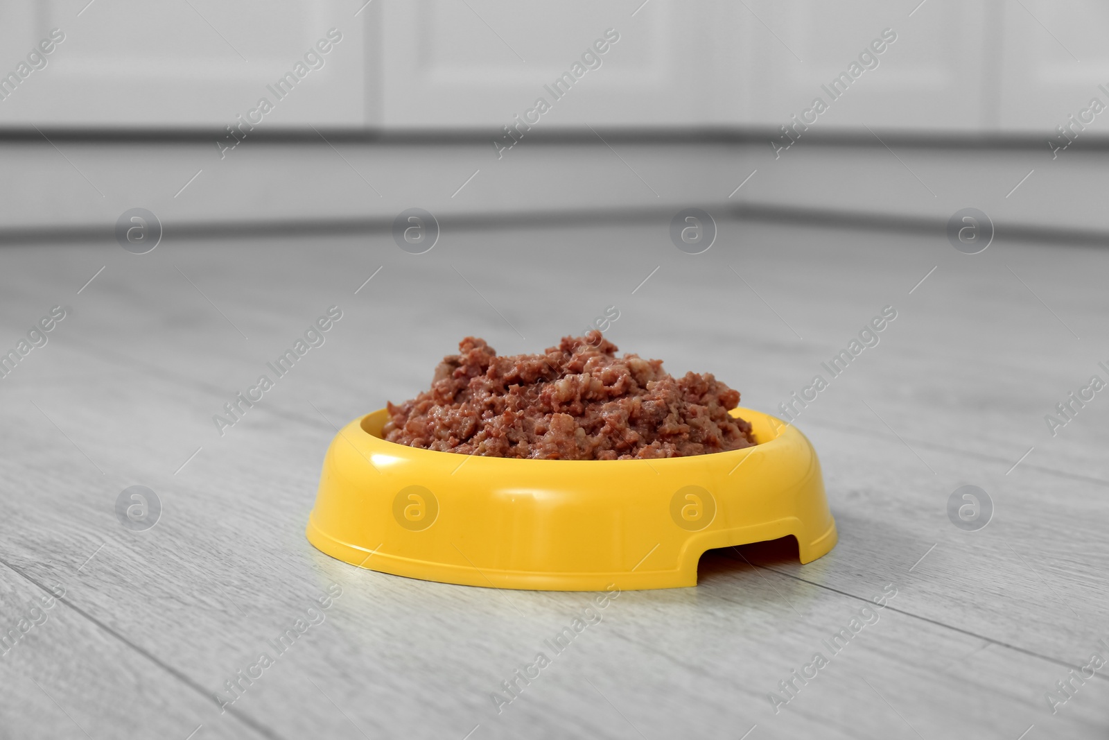 Photo of Wet pet food in feeding bowl on floor indoors, space for text