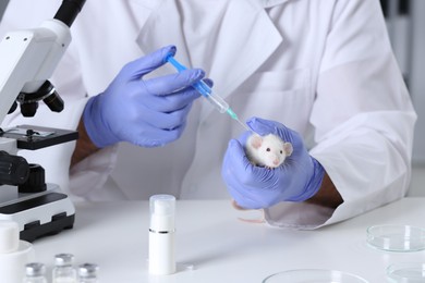 Scientist with syringe and rat at table in chemical laboratory, closeup. Animal testing