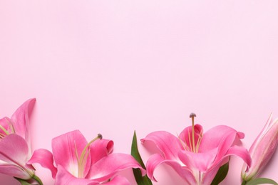 Beautiful pink lily flowers on color background, top view. Space for text