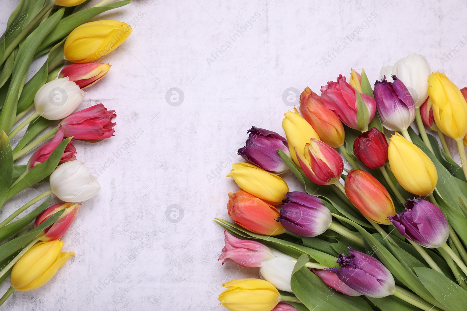 Photo of Beautiful colorful tulip flowers on white stone background, flat lay. Space for text