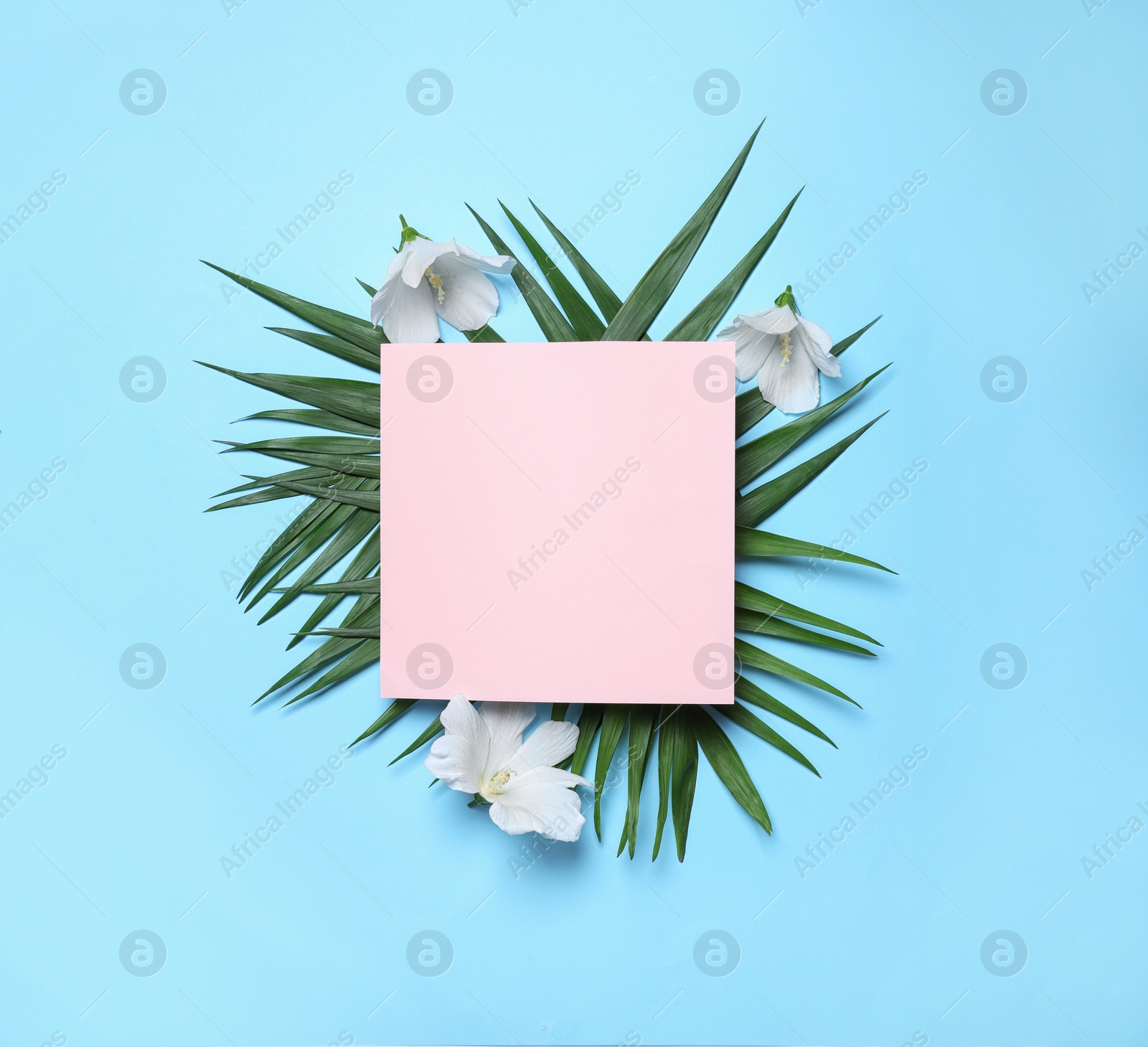 Photo of Flat lay composition with tropical leaves and Hibiscus flowers on blue background. Space for text