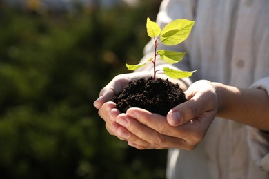 Photo of Woman holding soil with young green seedling, closeup. Planting tree