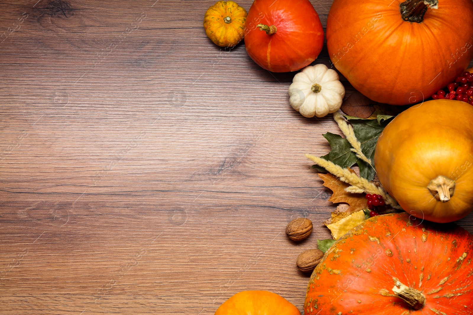 Photo of Thanksgiving day. Flat lay composition with pumpkins, leaves and walnuts on wooden table. Space for text