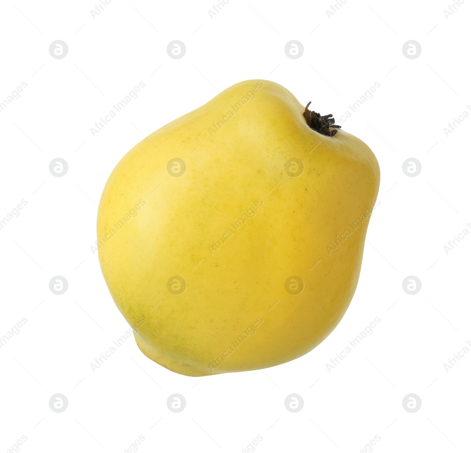 Photo of Delicious fresh ripe quince isolated on white