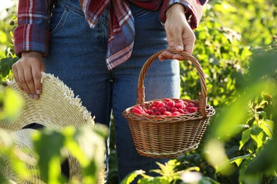 Photo of Woman holding wicker basket with ripe raspberries and straw hat outdoors , closeup