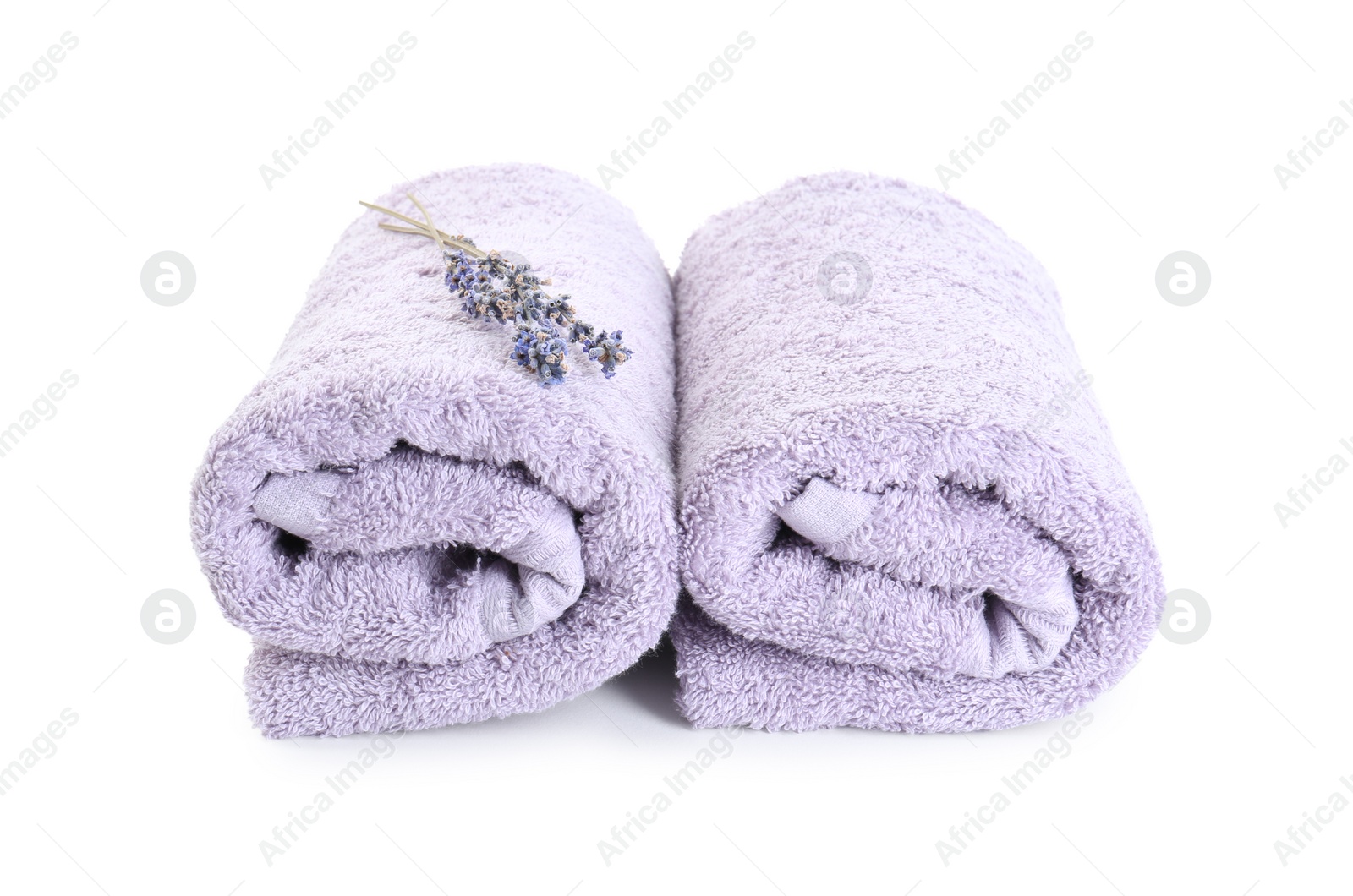 Photo of Rolled violet terry towels and dry lavender isolated on white
