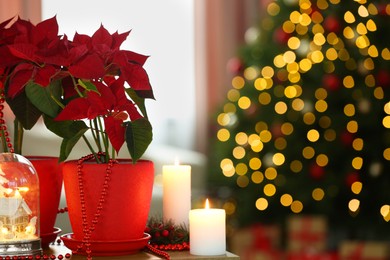 Photo of Potted poinsettias, burning candles and festive decor on wooden table in room, space for text. Christmas traditional flower