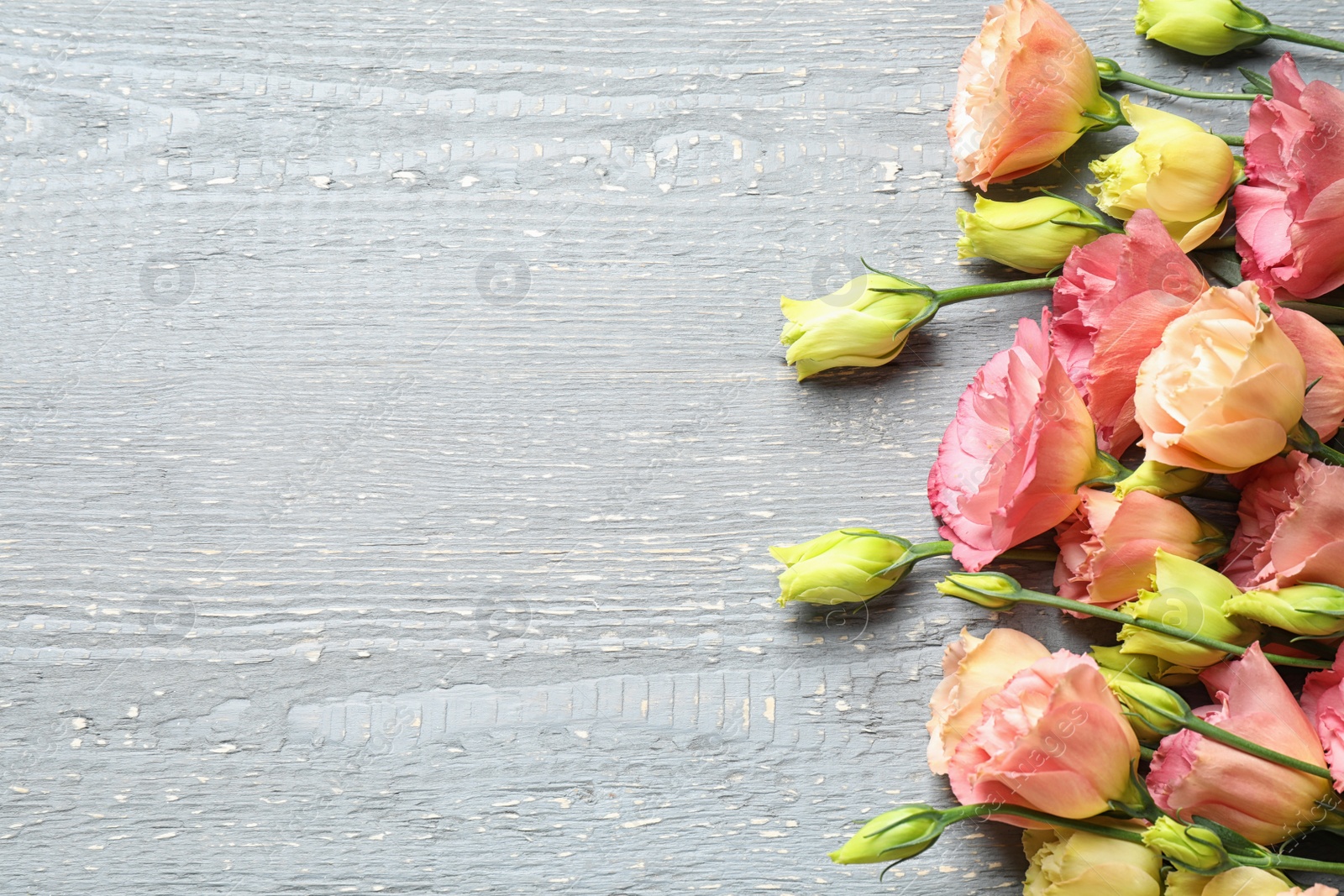 Photo of Flat lay composition with beautiful Eustoma flowers on wooden table, space for text