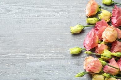 Flat lay composition with beautiful Eustoma flowers on wooden table, space for text