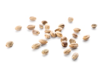 Photo of Raw organic hemp seeds on white background