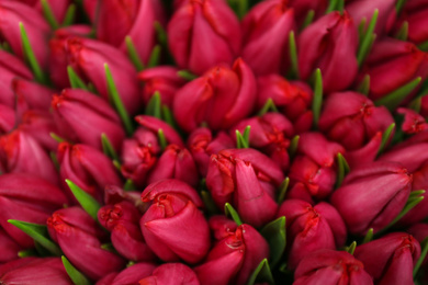 Photo of Beautiful bouquet of tulip flowers as background, closeup