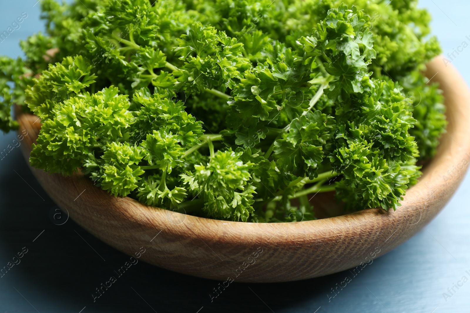 Photo of Fresh curly parsley in wooden bowl on blue table, closeup